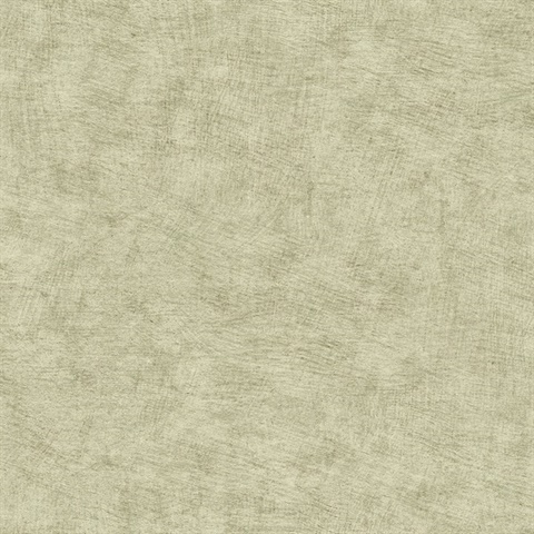 Pampas Plain Brushed Texture Misty Green Wallpaper