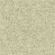 Pampas Plain Brushed Texture Misty Green Wallpaper
