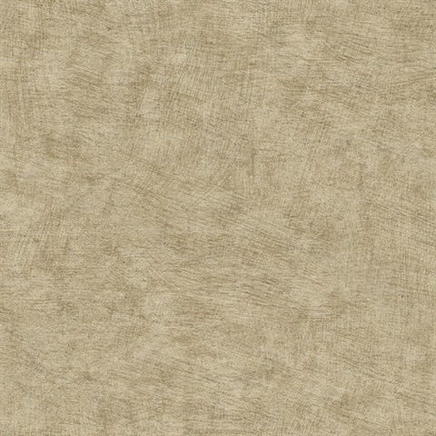 Pampas Plain Brushed Texture Olive Grey Wallpaper