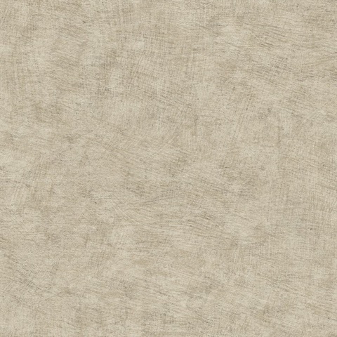 Pampas Plain Brushed Texture Taupe Wallpaper