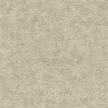Pampas Plain Brushed Texture Taupe Wallpaper