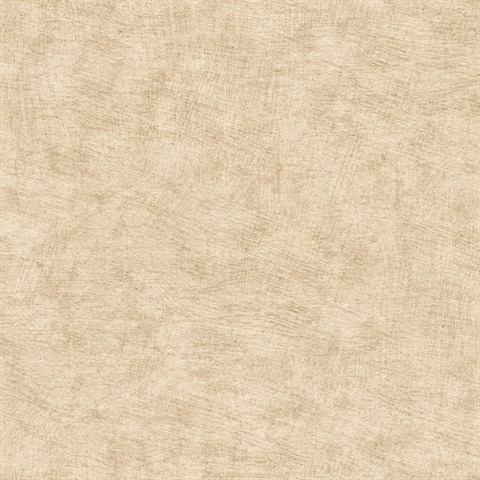 Pampas Plain Brushed Texture Warm Beige Wallpaper