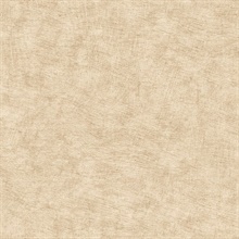 Pampas Plain Brushed Texture Warm Beige Wallpaper