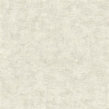 Pampas Plain Brushed Texture Winter White Wallpaper