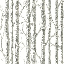 Black &amp; Beige Paper Modern Tree Branch Wallpaper