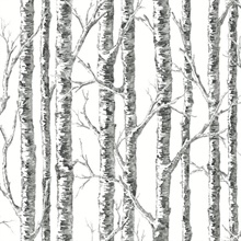 Black &amp; White Paper Modern Tree Branch Wallpaper