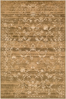 PAR1062 Paramount Runner
