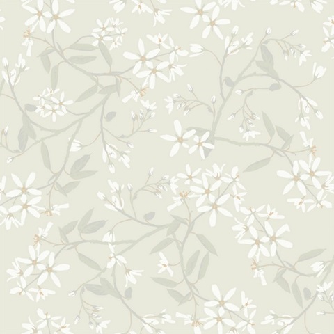 Paradis Dove Bouquet Toss Wallpaper