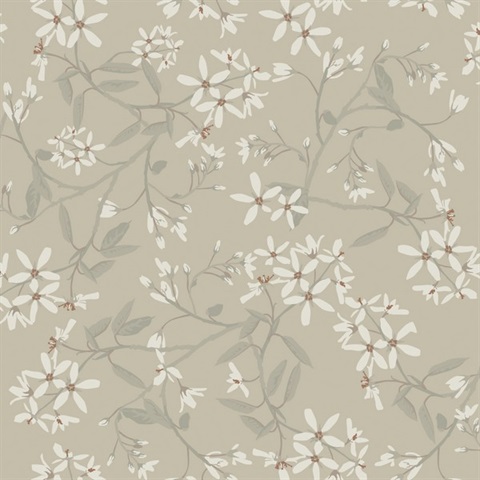 Paradis Grey Bouquet Toss Wallpaper