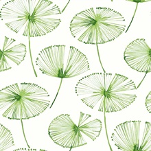 Paradise Green Fronds