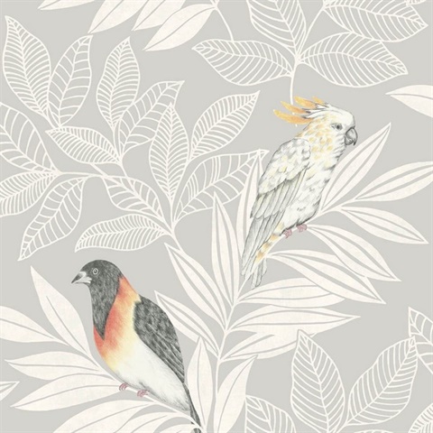 Paradise Oriole and Parakeet Bird Light Grey Wallpaper