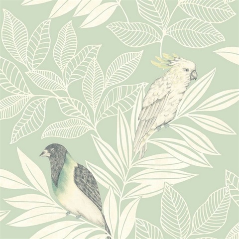 Paradise Oriole and Parakeet Bird Mint Green Wallpaper