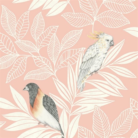 Paradise Oriole and Parakeet Bird Pink Wallpaper