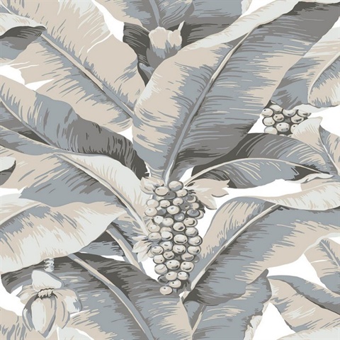 Paradisio Tropical Palm Tree Grey Wallpaper