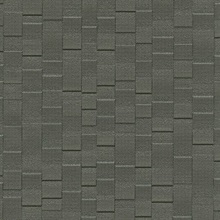 Parallelo Silhouette