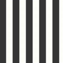 Formal Thin Stripe Black Silver and White Wallpaper
