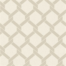 Payton Beige Textured Hexagon TrellisWallpaper