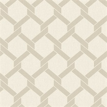 Payton Beige Textured Hexagon TrellisWallpaper