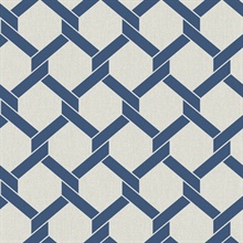 Payton Blue Textured Hexagon TrellisWallpaper