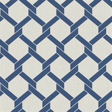 Payton Blue Textured Hexagon TrellisWallpaper