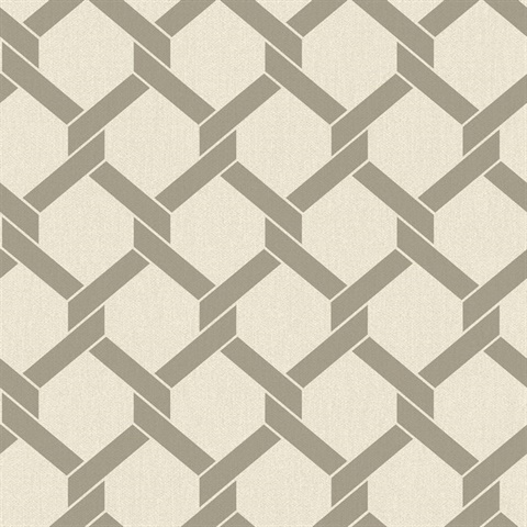 Payton Taupe Textured Hexagon TrellisWallpaper