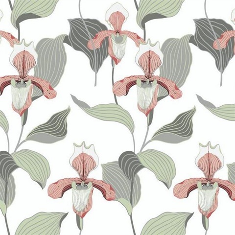 Peach & Grey Lady Slipper Floral Wallpaper