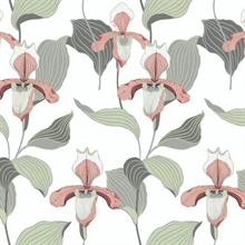 Peach &amp; Grey Lady Slipper Floral Wallpaper