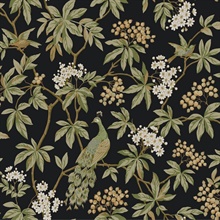 Peacock Estate Black Wallpaper