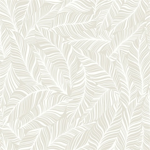 Pearl Rainforest Canopy Tropical Leaves Wallpaper