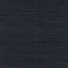 Peninsula Navy Sisal Grasscloth