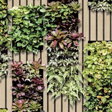 Photoreal Vertical Garden Green Wallpaper