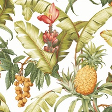Pineapple Floral Botanical Off-White Peel and Stick Wallpaper