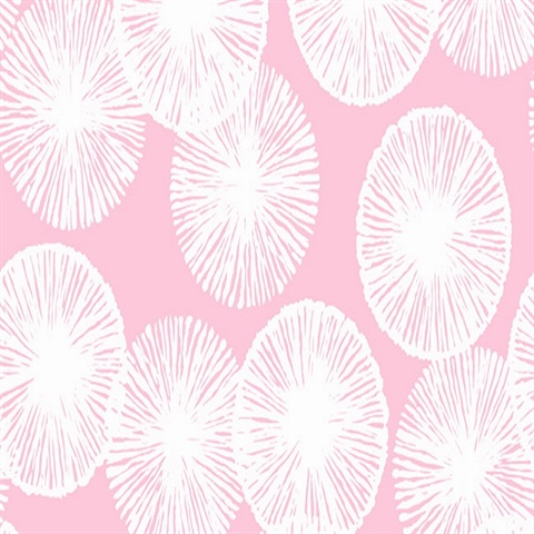 Pink and White Sandollar