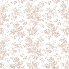 Pink Anemone French Vine Toile Wallpaper