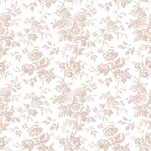 Pink Anemone French Vine Toile Wallpaper