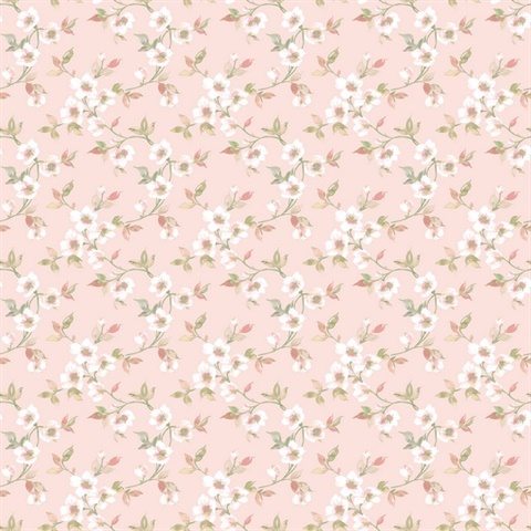 Pink Anenome Floral Mini Wallpaper