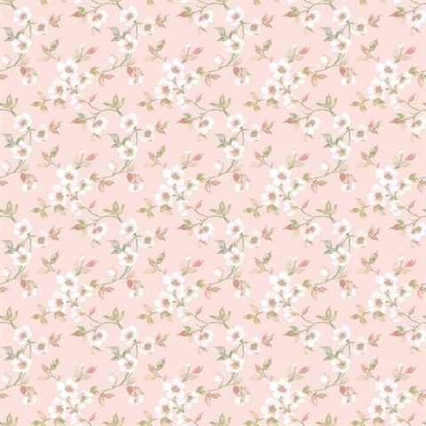 Pink Anenome Floral Mini Wallpaper