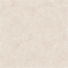 Pink Floret Chrysanthemum Petals Wallpaper
