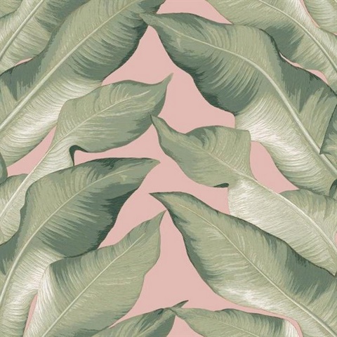 NV5544 | Pink & Green Beverly Hills Large Banana Leaf Wallpaper