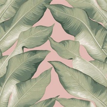 Pink &amp; Green Beverly Hills Large Banana Leaf Wallpaper