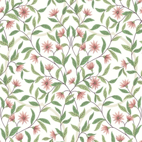 Pink & Green Jasmine Vine Leaf Wallpaper