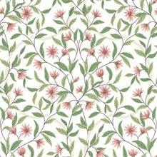 Pink &amp; Green Jasmine Vine Leaf Wallpaper