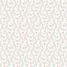 Pink &amp; Green Small Floral Vine Wallpaper