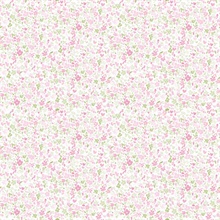 Pink Mini Mod Watercolor Painted Floral Wallpaper