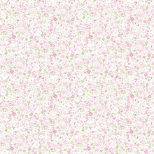 Pink Mini Mod Watercolor Painted Floral Wallpaper