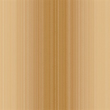 Pinot Stria