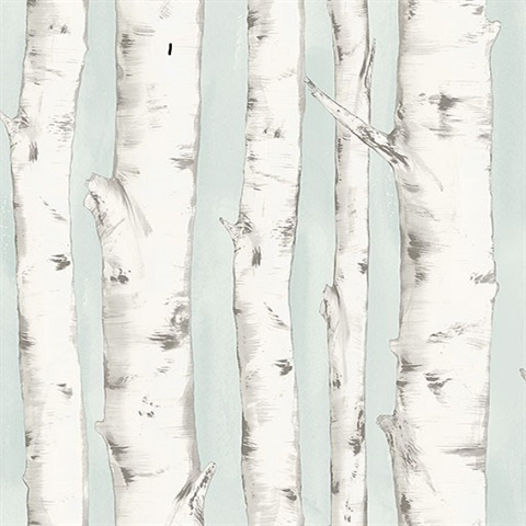 Pioneer Light Blue Birch Tree