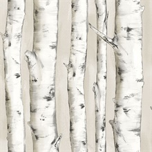 Pioneer Off-White Birch Tree