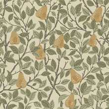 Pirum Yellow Pear Fruit Wallpaper