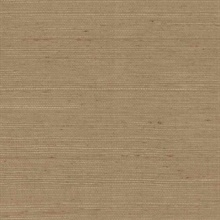 Plain Grass